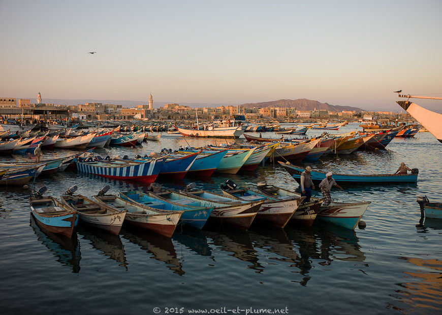 Coastal Hadramout 2015