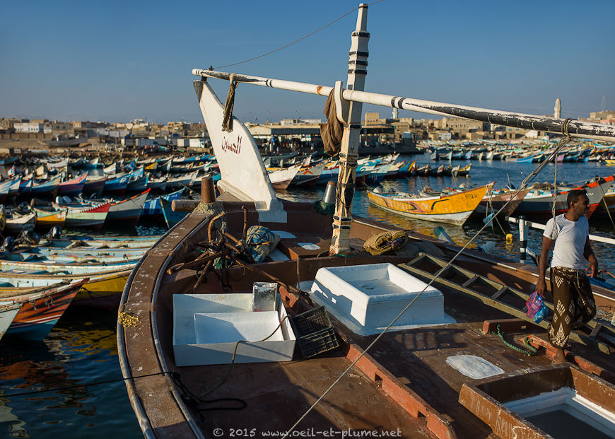 Coastal Hadramout 2015