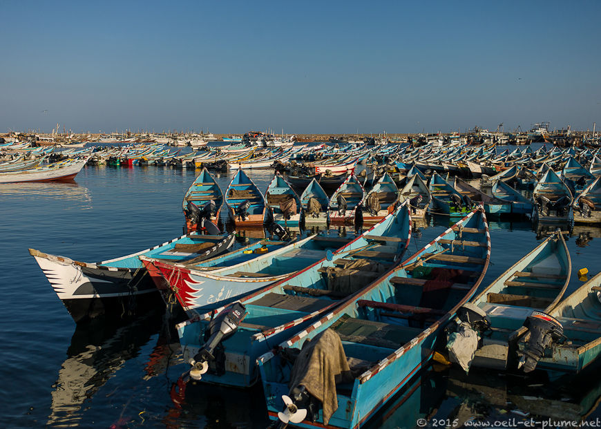 Coastal Hadramout 2015