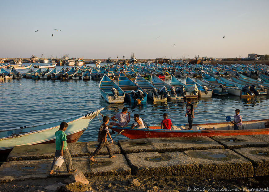 Coastal Hadramout 2015