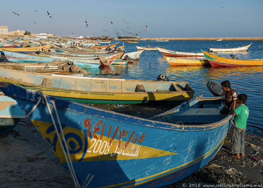 Coastal Hadramout 2015