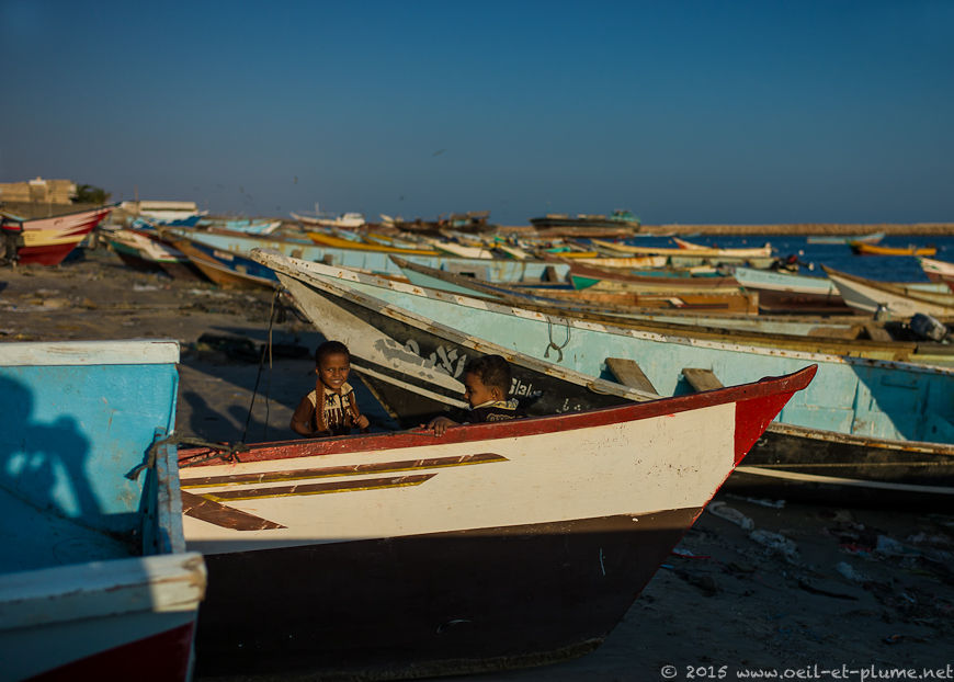 Coastal Hadramout 2015