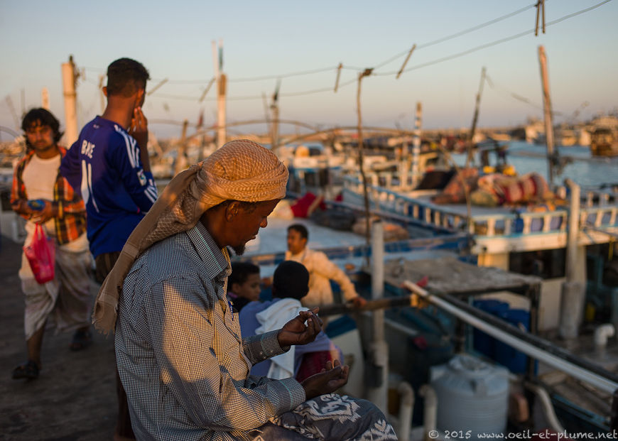 Coastal Hadramout 2015