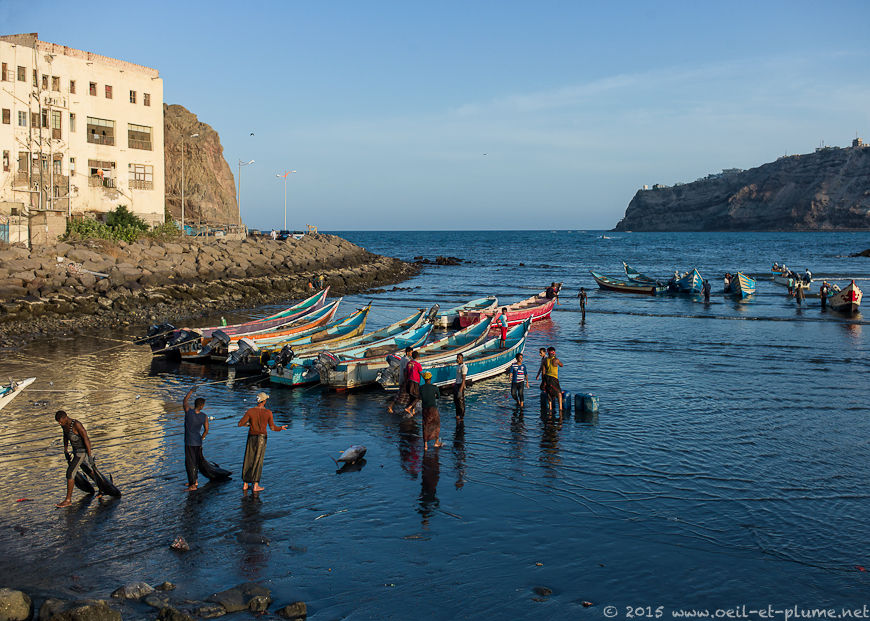 Aden 2014-2015