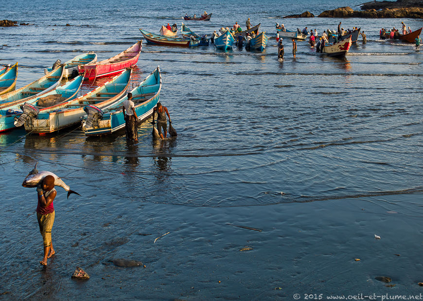 Aden 2014-2015