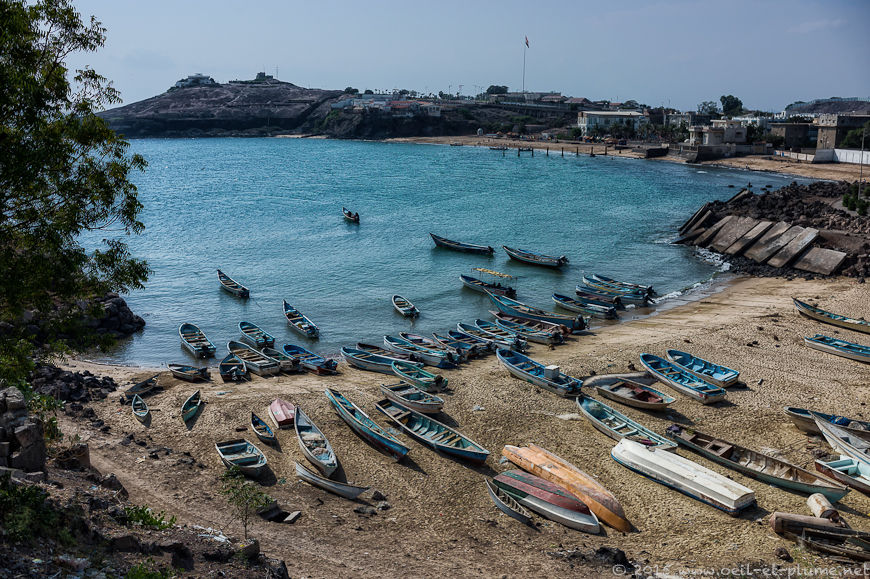 Aden 2014-2015