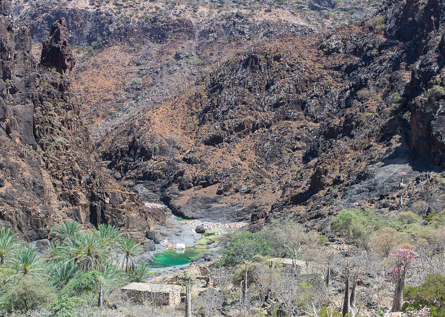 Socotra 2015