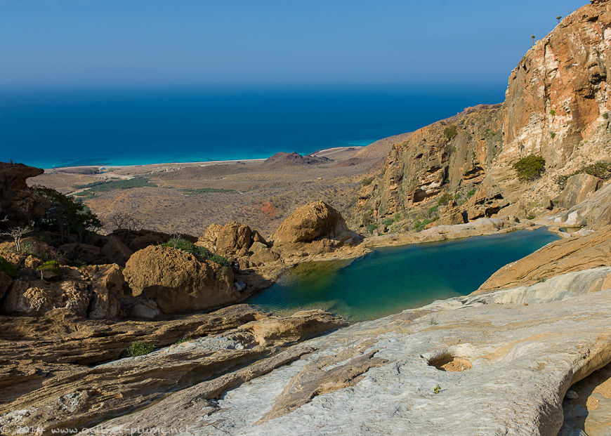Socotra 2014