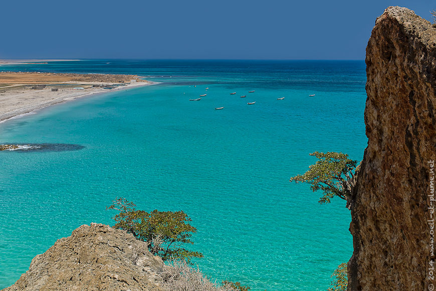 Socotra 2014