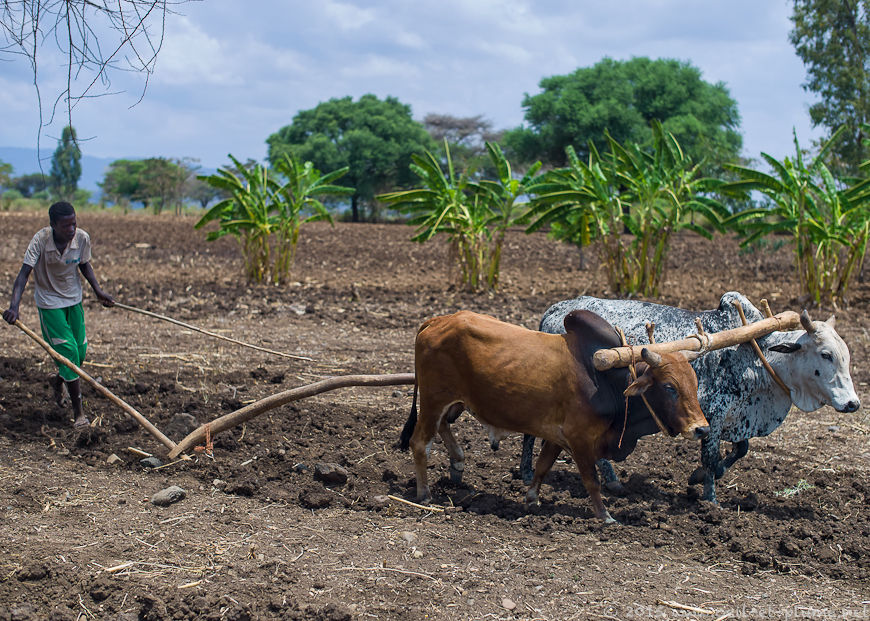 Konso 2015