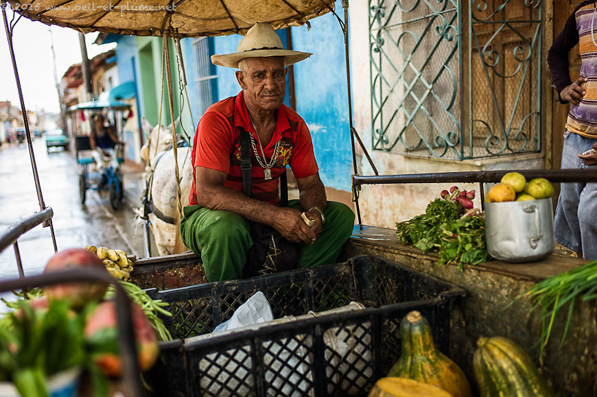 Trinidad 2015