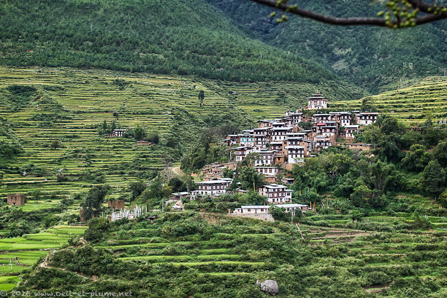 Bhutan 2015