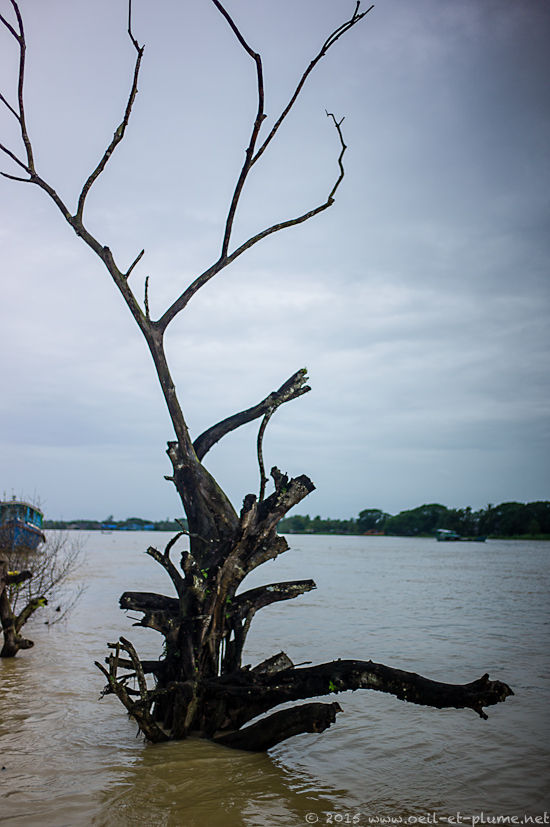 Yangon 2015