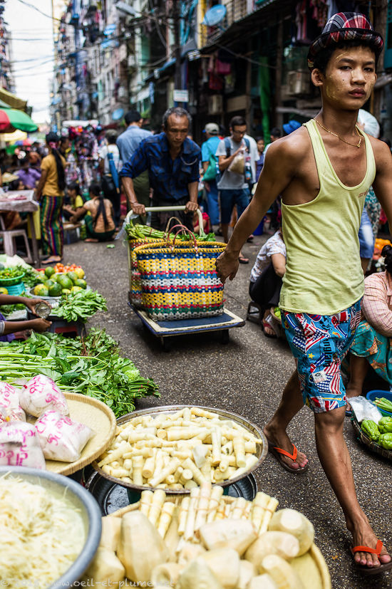 Yangon 2015