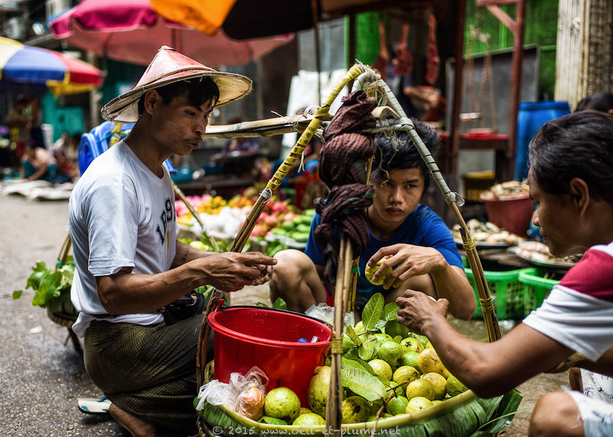 Yangon 2015