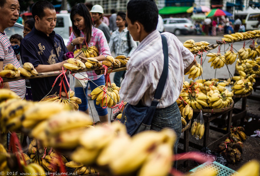 Yangon 2015