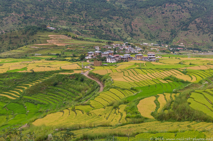 Bhutan 2015