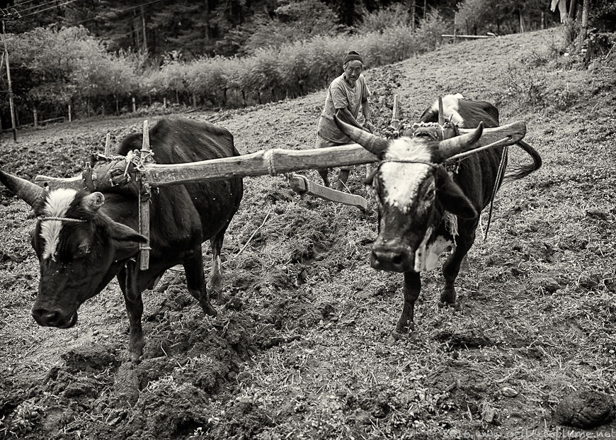 Bhutan 2015