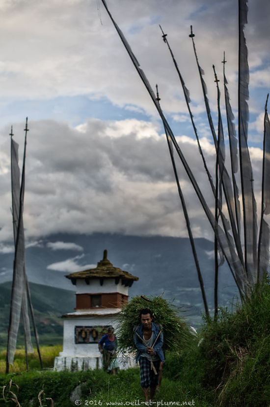 Bhutan 2015