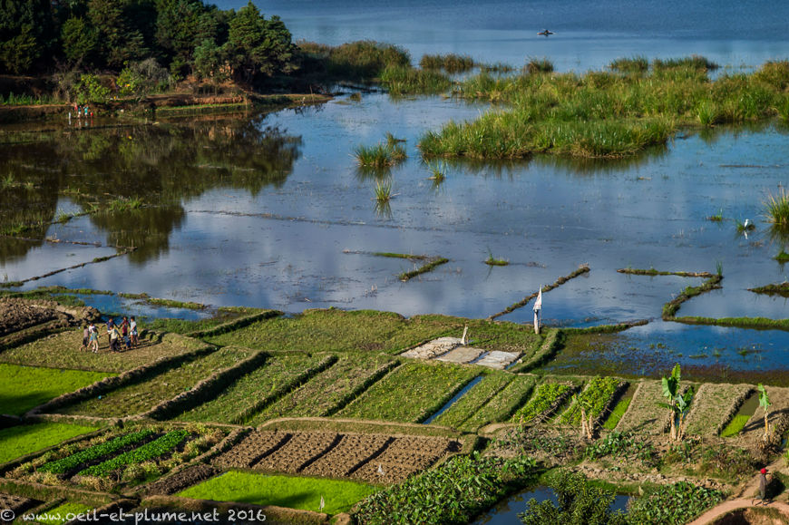 Antananarivo 2016