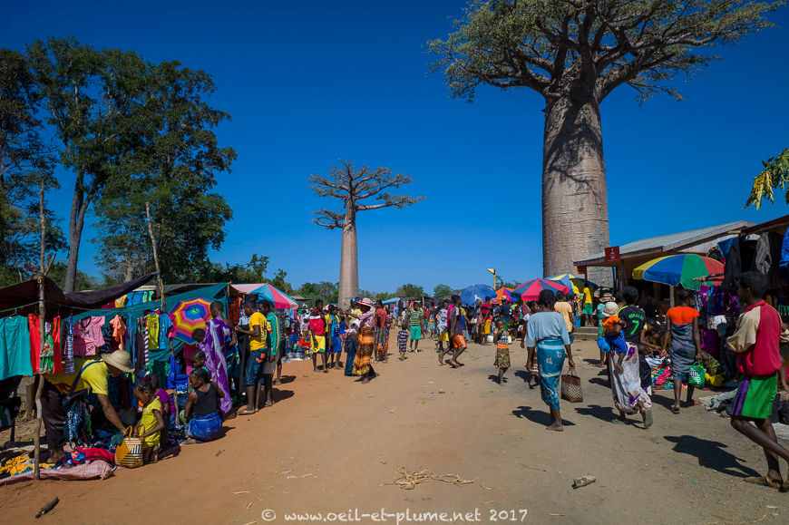 Madagascar 2017