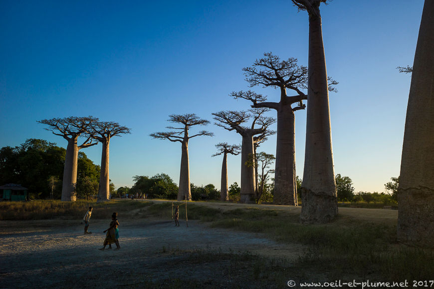 Madagascar 2017