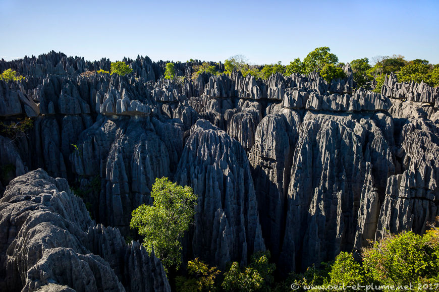 Madagascar 2017