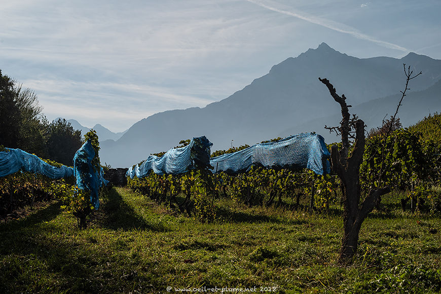 Valais 2018