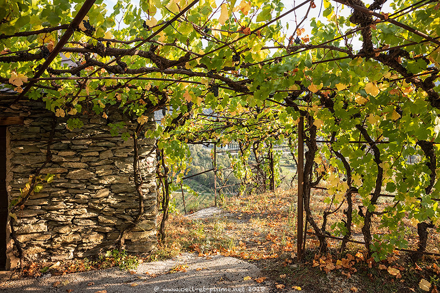 Valais 2018