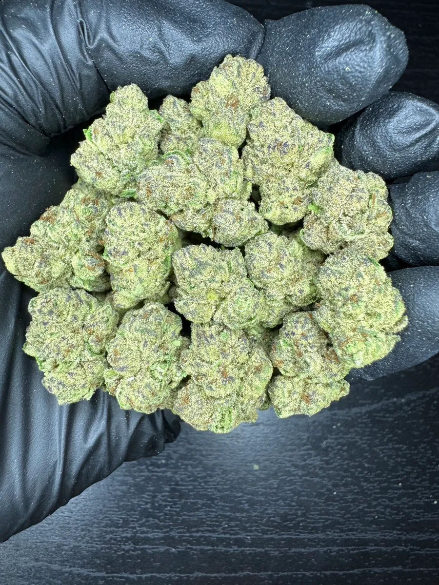 🦊FX3 