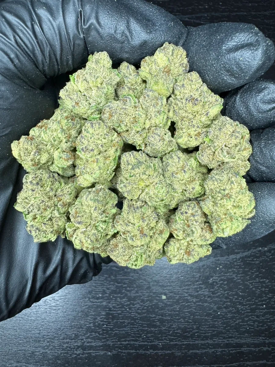 🦊FX3 