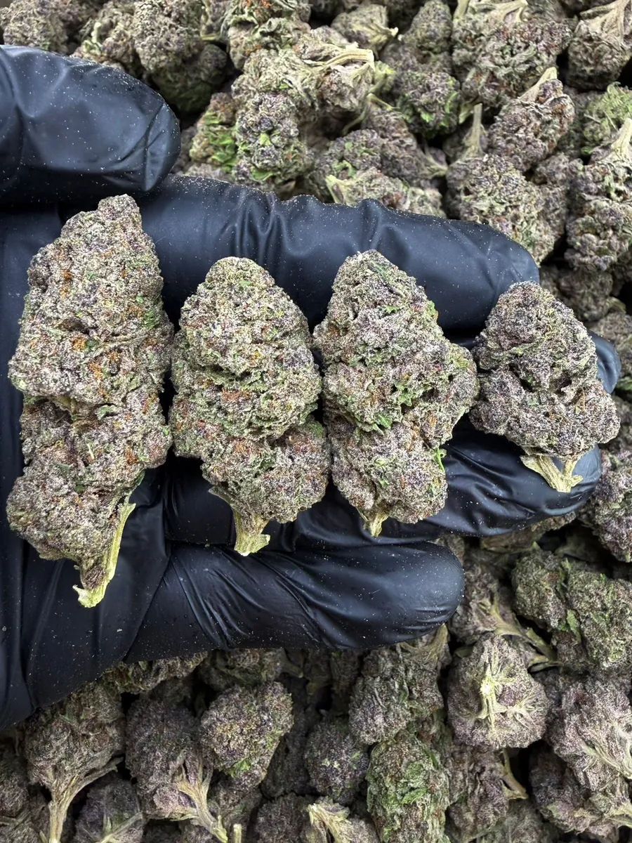 🍒Tropicana Cherry 