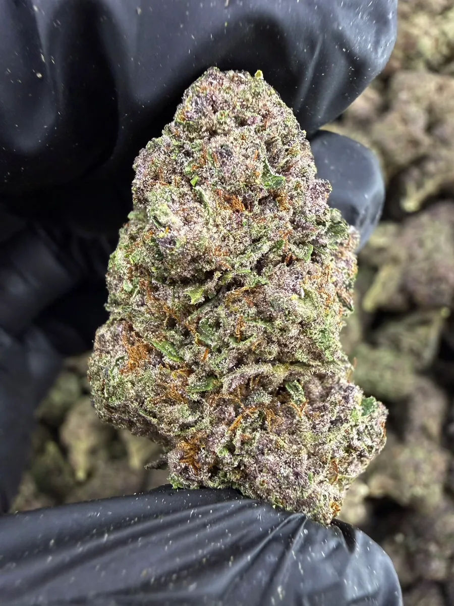 🍒Tropicana Cherry 