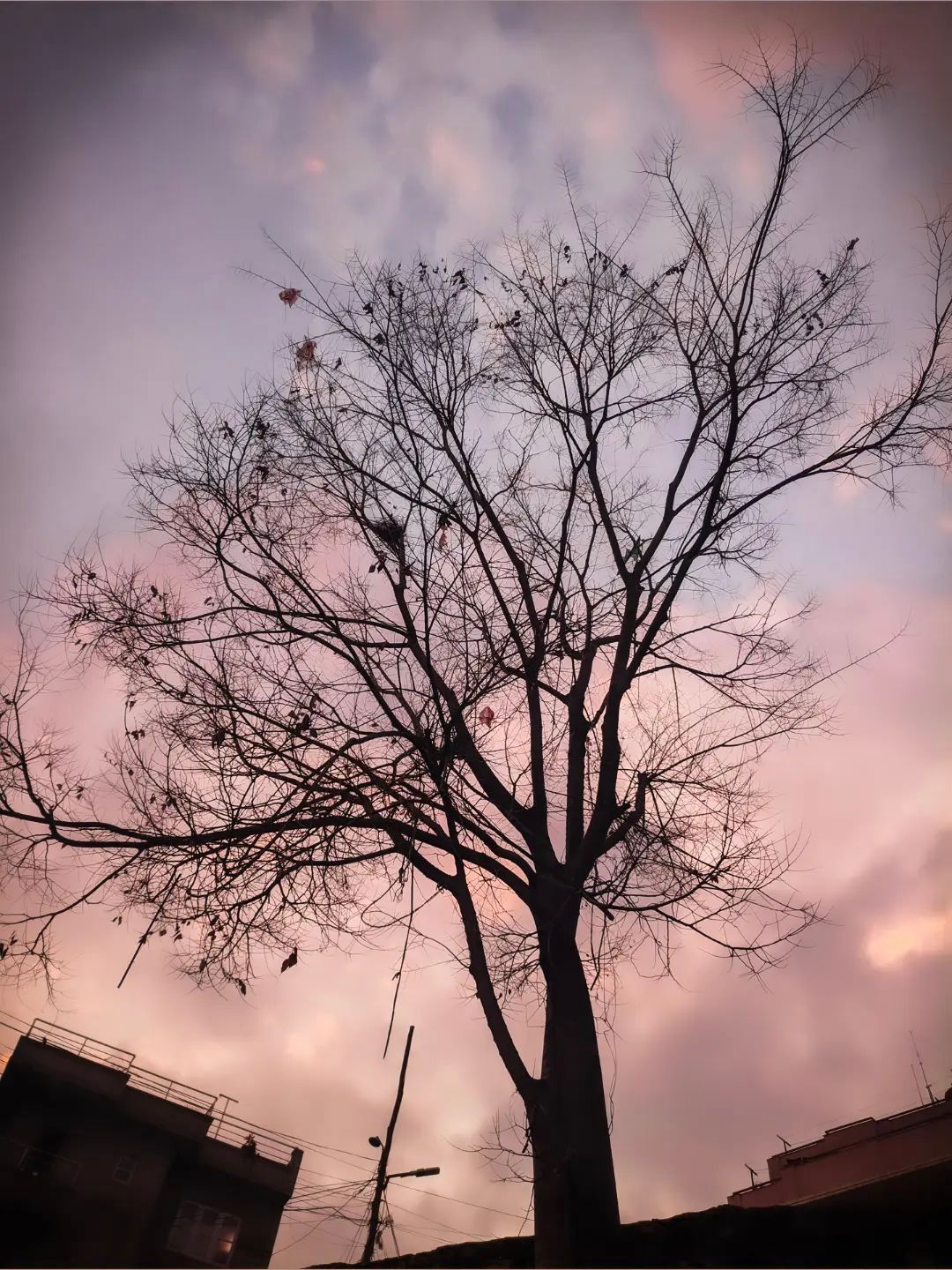 Yugesh Raj Shilakar - Wallpaper 2