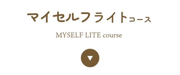 マイセルフライトコース