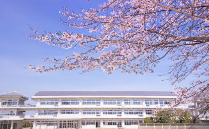 桜と校舎の写真