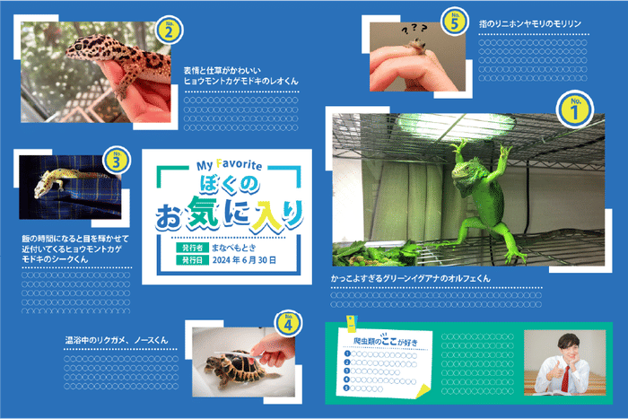 パーソナルページ「お気に入り」のデザイン例