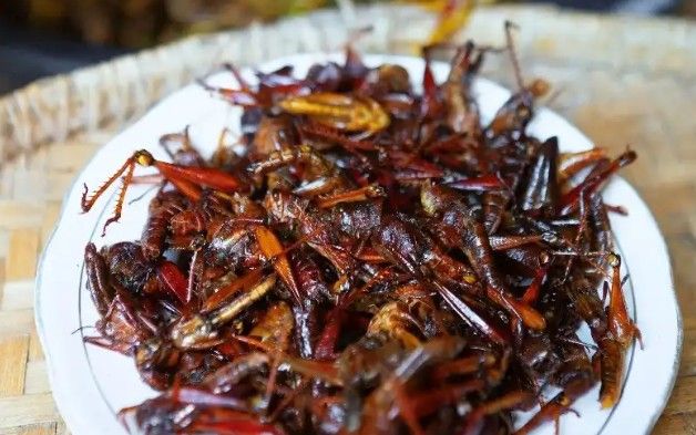 Walang Goreng, Jejak Tradisi di Balik Cita Rasa Liar