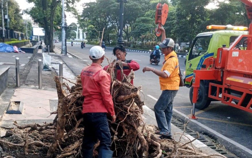 Pemkot Semarang Tanggap Tangani Dampak Hujan Disertai Angin Kencang, Dalam Semalam 86 Pohon Tumbang Berhasil Dievakuasi