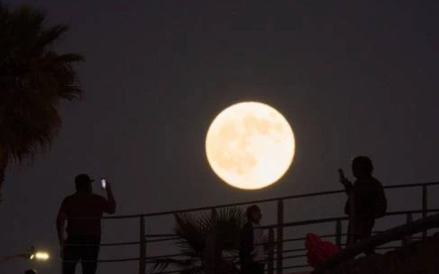 Malam Ini Langit Punya Cerita: Pink Moon Siap Hiasi Langit Indonesia 