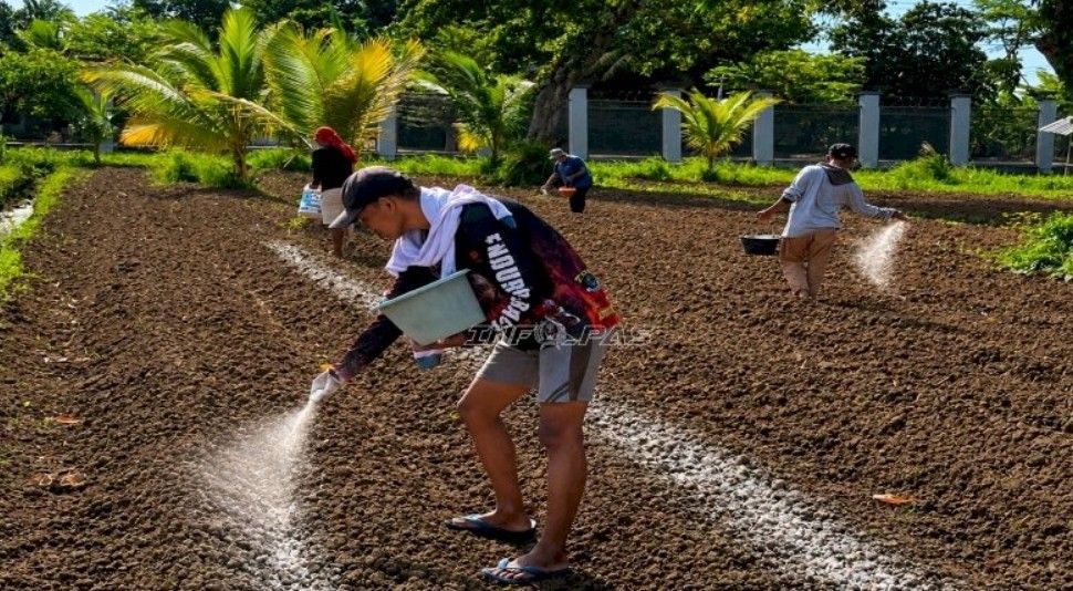 Menyulap Lahan Lapas Menjadi Lumbung Pangan: Asa Baru Warga Binaan Kendal Lewat Hamparan Terung Ungu