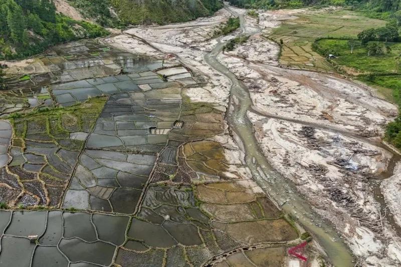 Pemulihan Sawah Terdampak Bencana di Sumatera Utara dan Sumatera Barat Capai Ribuan Hektare