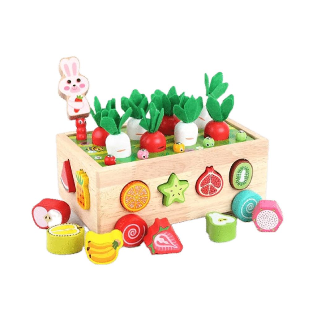 Multi-play Wooden Montessori Toys