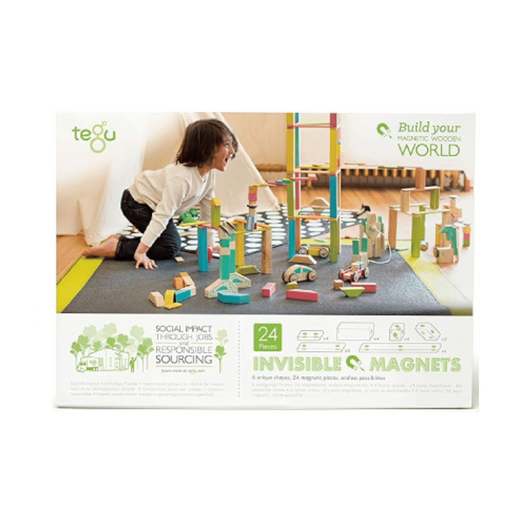 24 Piece Tegu Magnetic Wooden Blocks