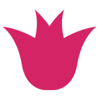 Widebundle