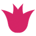 Widebundle