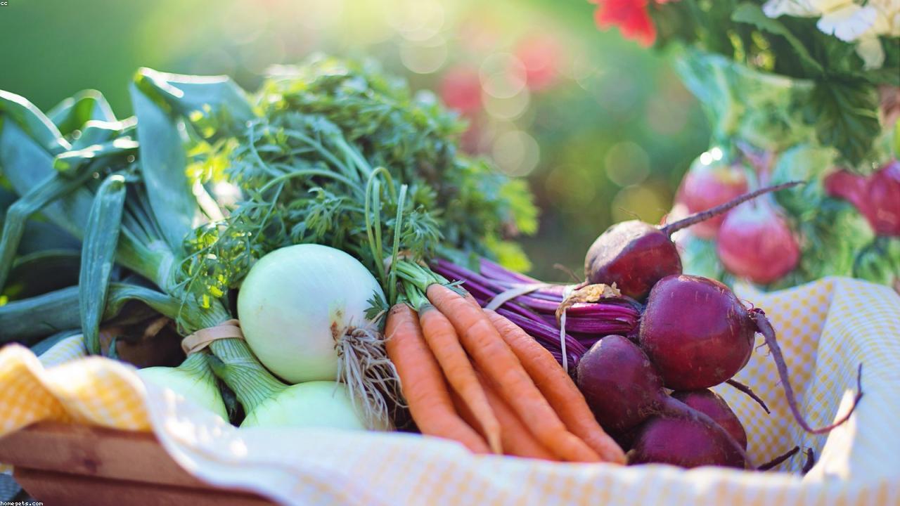 12 Powerful Tips to Improve Your Healthy Life