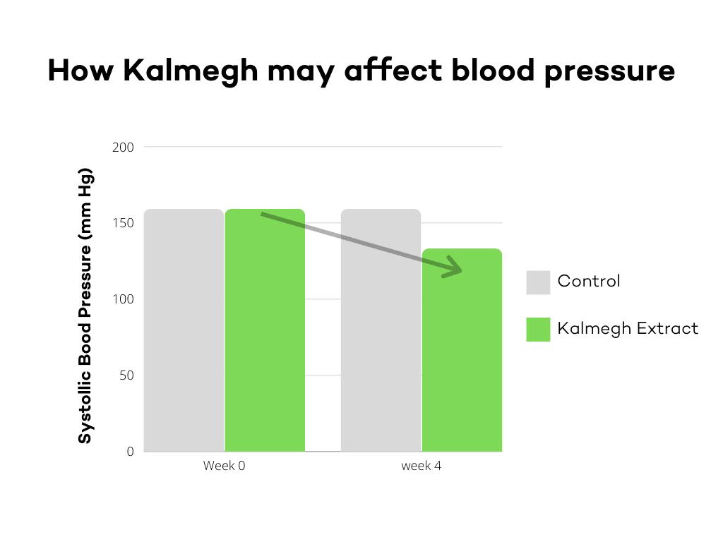 How Kalmegh may lower blood pressure