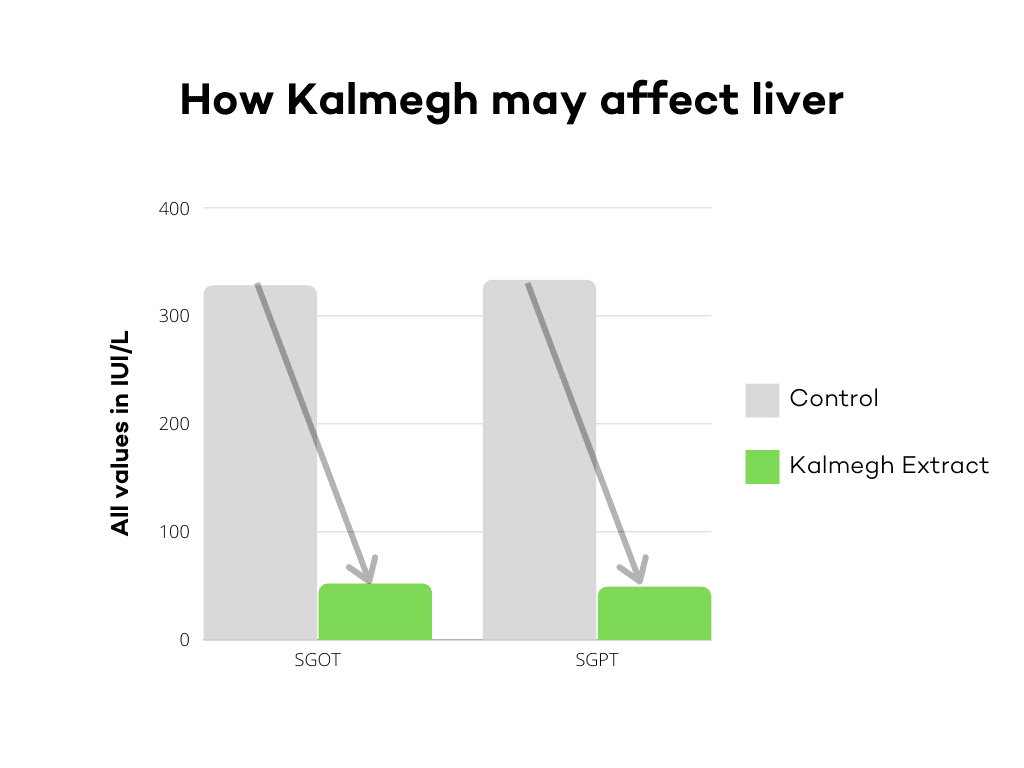 How Kalmegh may affect the liver