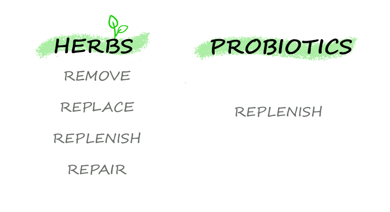 why herbs > probiotics